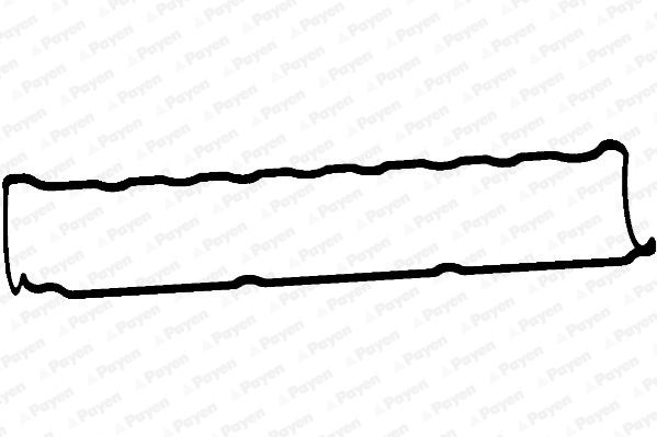 PAYEN Прокладка, крышка головки цилиндра JM7054