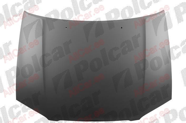 POLCAR gaubtas N13503