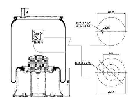 ST-TEMPLIN Кожух пневматической рессоры 04.060.6206.850