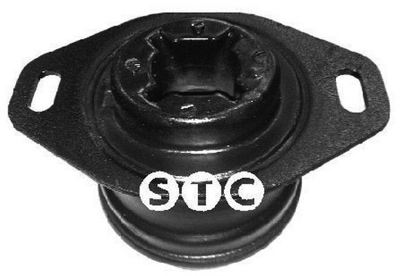 STC variklio montavimas T405199
