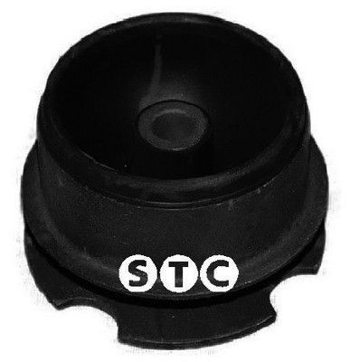 STC variklio montavimas T405611