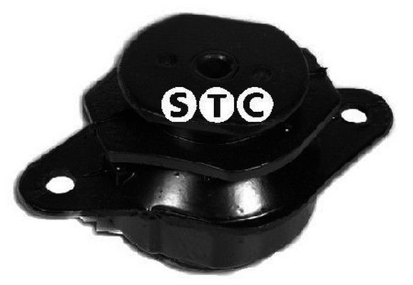 STC variklio montavimas T405617