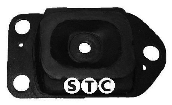 STC variklio montavimas T405648