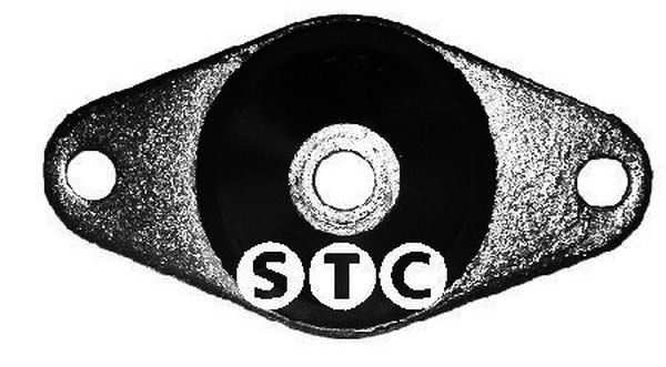 STC variklio montavimas T405773