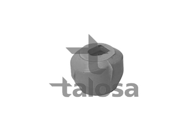 TALOSA variklio montavimas 61-02085