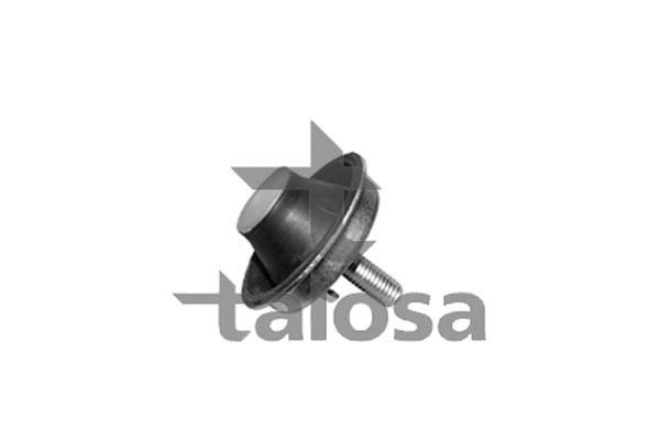 TALOSA variklio montavimas 61-05128