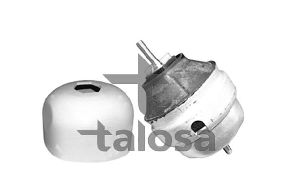 TALOSA variklio montavimas 61-05307