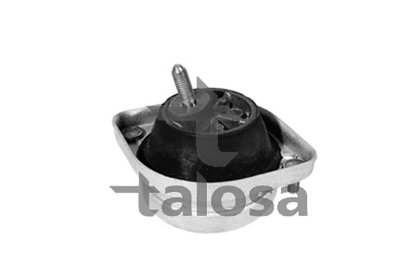 TALOSA variklio montavimas 61-06623