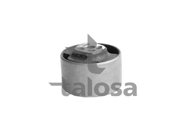 TALOSA variklio montavimas 61-06650