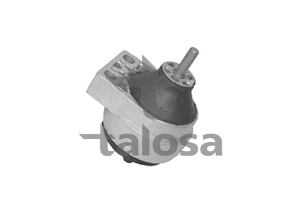 TALOSA variklio montavimas 61-06672