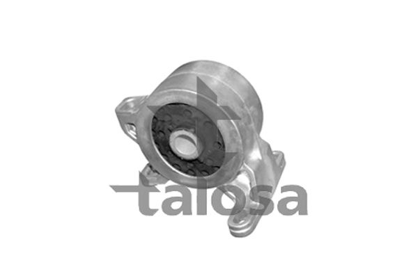 TALOSA variklio montavimas 61-06676