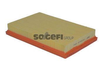 TECNOCAR oro filtras A2060