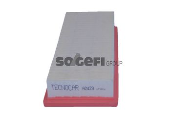 TECNOCAR oro filtras A2429