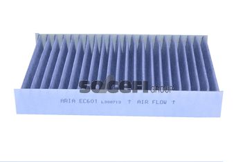 TECNOCAR filtras, salono oras EC601