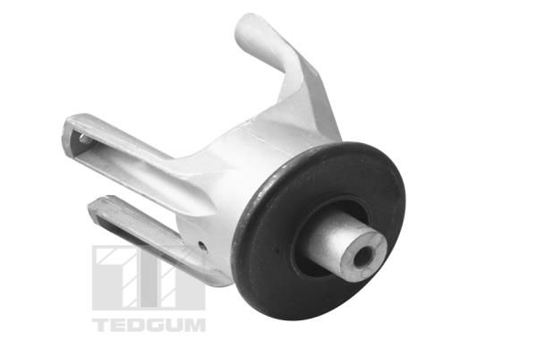 TEDGUM variklio montavimas 00725748