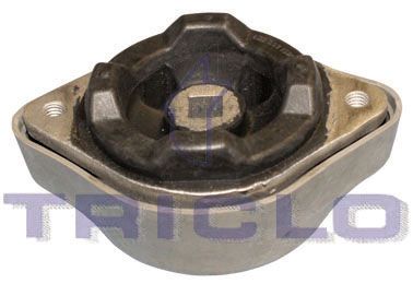 TRICLO montavimas, neautomatinė transmisija 363945