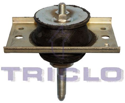 TRICLO variklio montavimas 365417