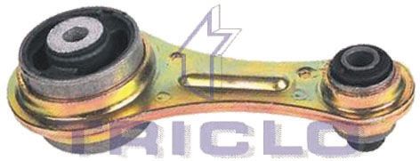 TRICLO variklio montavimas 365639
