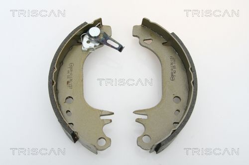 TRISCAN Комплект тормозных колодок 8100 10006