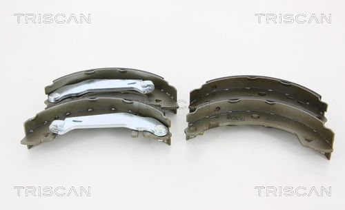TRISCAN Комплект тормозных колодок 8100 10008