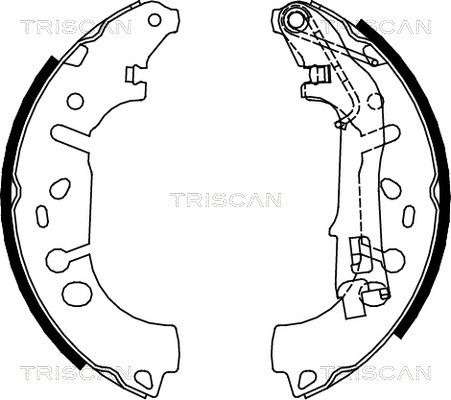 TRISCAN Комплект тормозных колодок 8100 10012