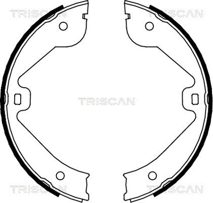 TRISCAN Комплект тормозных колодок, стояночная тормозная с 8100 10022