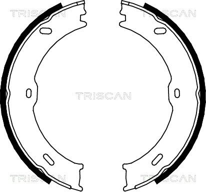 TRISCAN stabdžių trinkelių komplektas 8100 10023