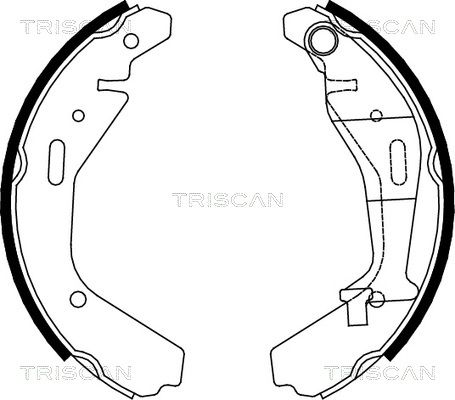 TRISCAN Комплект тормозных колодок 8100 10024