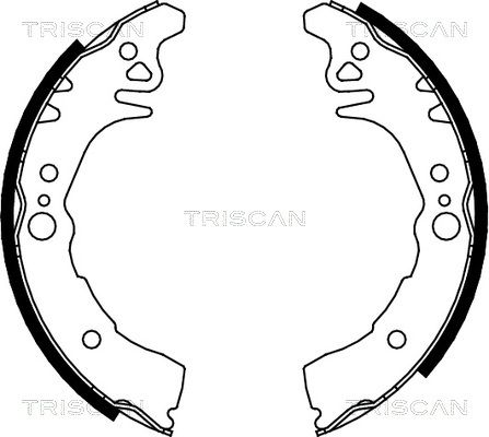 TRISCAN Комплект тормозных колодок 8100 10026