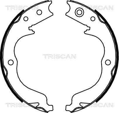 TRISCAN stabdžių trinkelių komplektas 8100 10029