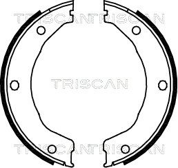 TRISCAN stabdžių trinkelių komplektas, stovėjimo stabdis 8100 10030