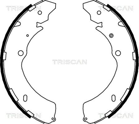 TRISCAN stabdžių trinkelių komplektas 8100 10032