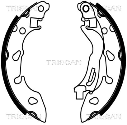 TRISCAN stabdžių trinkelių komplektas 8100 10038