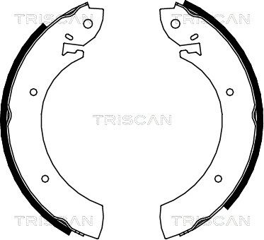 TRISCAN stabdžių trinkelių komplektas 8100 10272