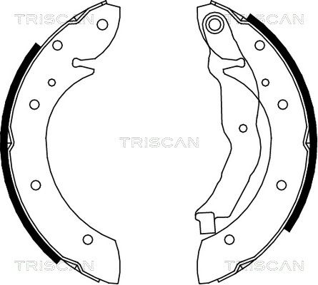 TRISCAN stabdžių trinkelių komplektas 8100 10575