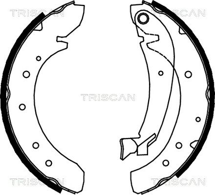 TRISCAN Комплект тормозных колодок 8100 10576