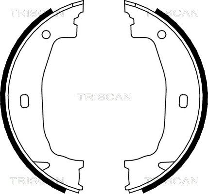 TRISCAN stabdžių trinkelių komplektas 8100 11011