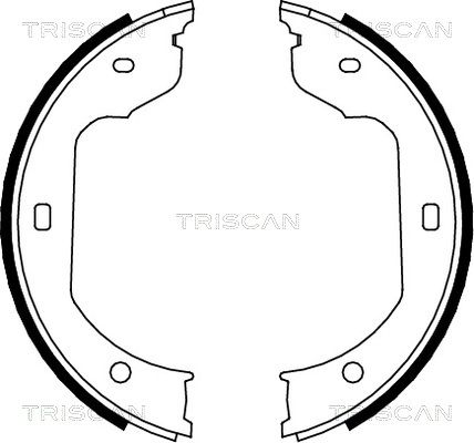 TRISCAN stabdžių trinkelių komplektas 8100 11012