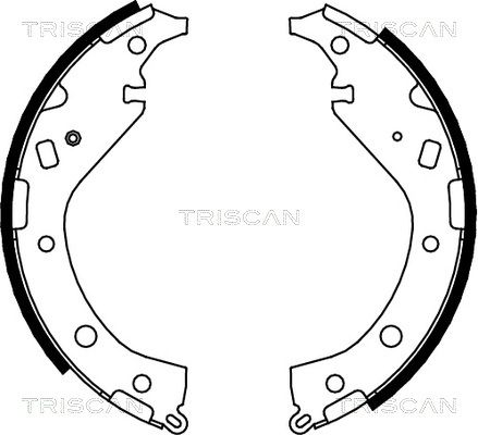 TRISCAN Комплект тормозных колодок 8100 13034