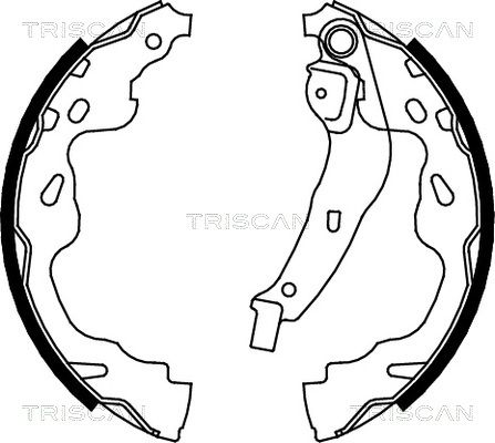 TRISCAN stabdžių trinkelių komplektas 8100 13035