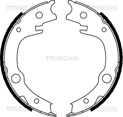 TRISCAN stabdžių trinkelių komplektas, stovėjimo stabdis 8100 13039