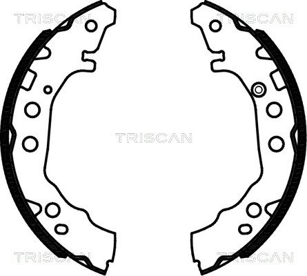 TRISCAN Комплект тормозных колодок 8100 13052