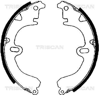 TRISCAN stabdžių trinkelių komplektas 8100 13423