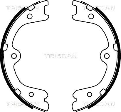 TRISCAN stabdžių trinkelių komplektas, stovėjimo stabdis 8100 14009