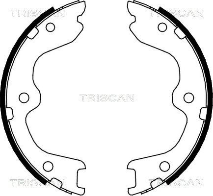 TRISCAN stabdžių trinkelių komplektas, stovėjimo stabdis 8100 14010