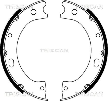 TRISCAN Комплект тормозных колодок, стояночная тормозная с 8100 14011