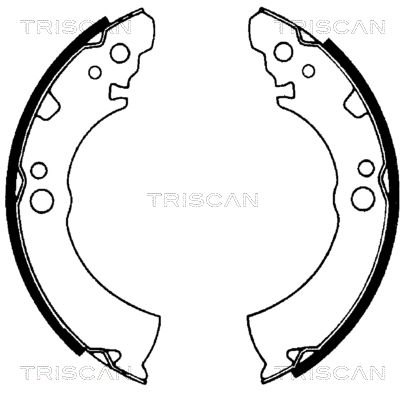 TRISCAN Комплект тормозных колодок 8100 14404