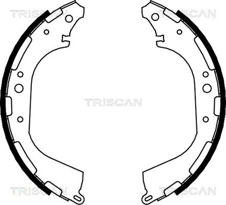 TRISCAN Комплект тормозных колодок 8100 14564
