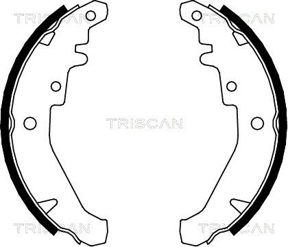TRISCAN Комплект тормозных колодок 8100 15026