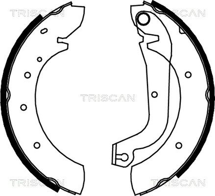 TRISCAN stabdžių trinkelių komplektas 8100 15480